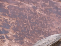 Petroglyphs near Pollys Island